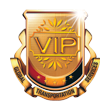 VIP GTS Logo