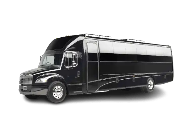 Executive Mini Coach