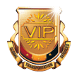 VIP Connection